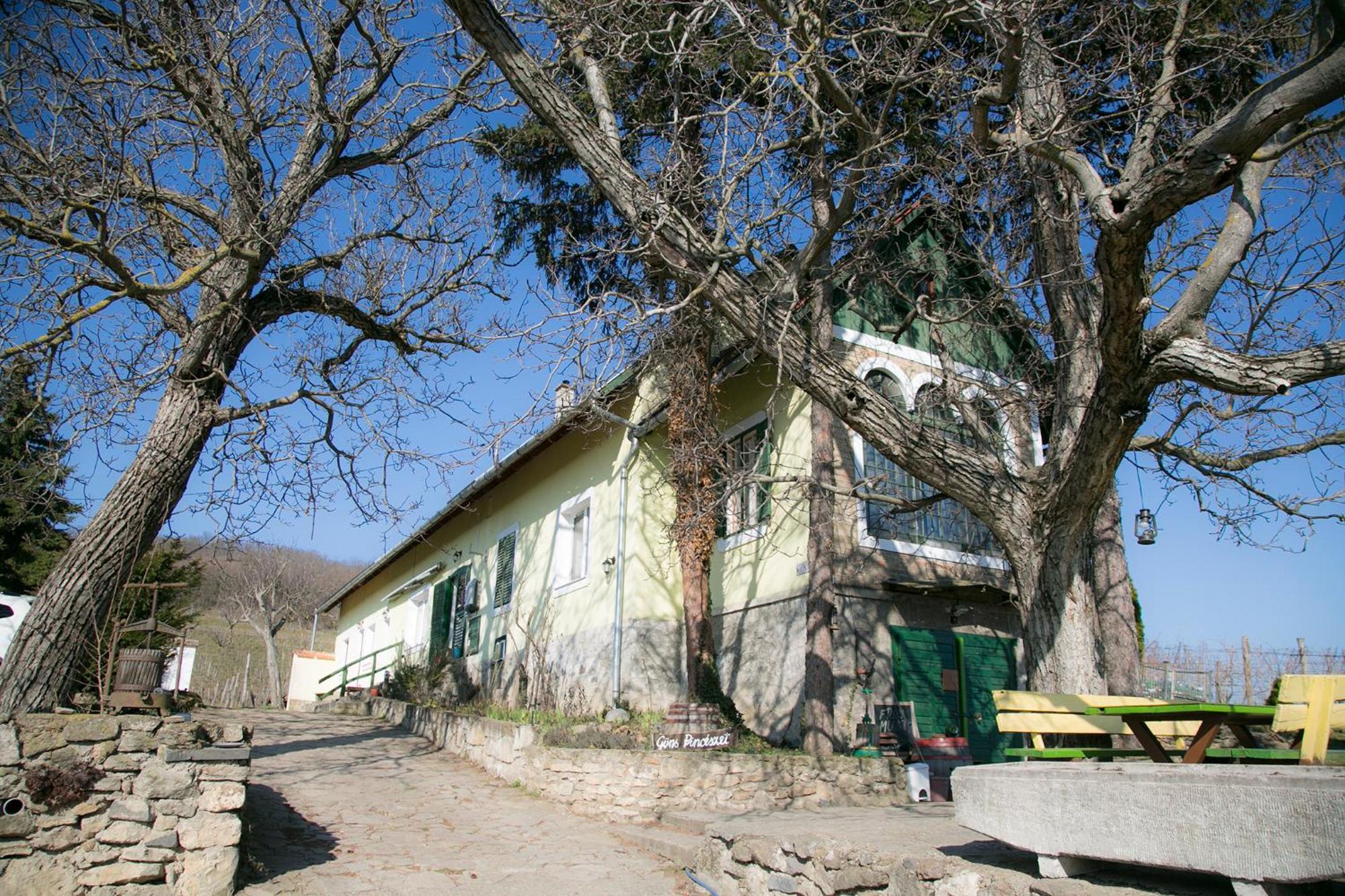 Gasthof Güns Szigliget